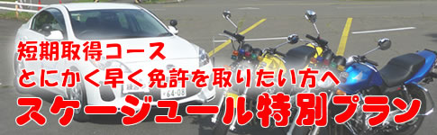 スケジュール特別プラン